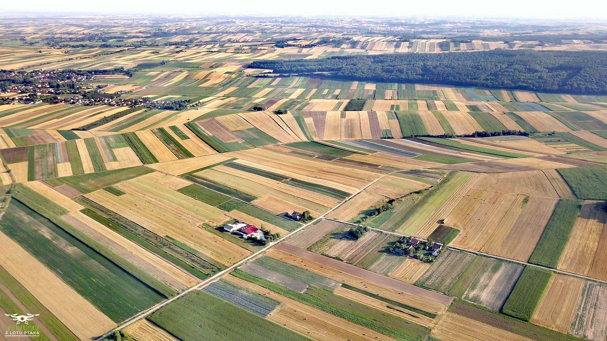 Stabilimento produttivo AGROPOLE – verdure essiccate, erbe, spezie